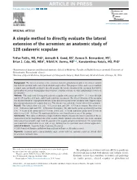 A Simple Method for Acromion Measurements