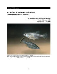 Butterfly Splitfin (Ameca Splendens) Ecological Risk Screening Summary
