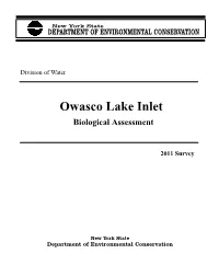 Owasco Lake Inlet, 2011
