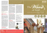 The of Christian Revelation, Silence Appears As an to Understand Sacred Scripture" (N