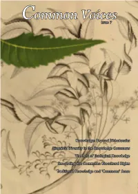 Common Voices Issue 7