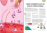 Lipid Mediators Put an End to Inflammation
