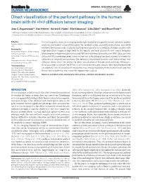 Direct Visualization of the Perforant Pathway in the Human Brain with Ex Vivo Diffusion Tensor Imaging