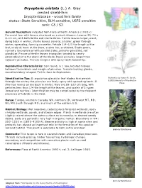 Dryopteris Cristata (L.) A