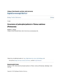 Occurrence of Psilocybin/Psilocin in Pluteus Salicinus (Pluteaceae)