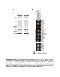 Supp Material.Pdf