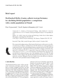 Brief Report Red-Backed Shrike (Lanius Collurio)