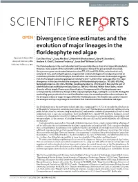 Divergence Time Estimates and the Evolution of Major Lineages in The