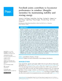 Forelimb Joints Contribute to Locomotor Performance in Reindeer (Rangifer Tarandus) by Maintaining Stability and Storing Energy