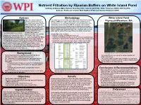 Nutrient Filtration by Riparian Buffers on White Island Pond Anthony