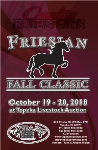 Quality Friesian