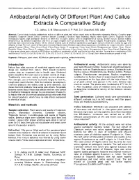 Antibacterial Activity of Different Plant and Callus Extracts a Comparative Study
