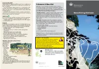Møns Klint Og Klintholm