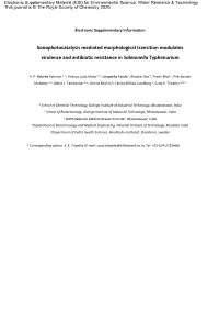 Sonophotocatalysis Mediated Morphological Transition Modulates Virulence and Antibiotic Resistance in Salmonella Typhimurium