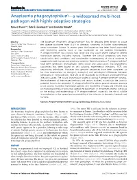 Anaplasma Phagocytophilum—A Widespread Multi-Host Pathogen with Highly Adaptive Strategies