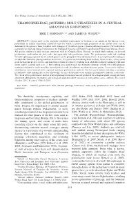 (Antbird) Molt Strategies in a Central Amazonian Rainforest