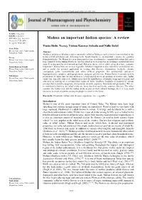 Mahua an Important Indian Species: a Review