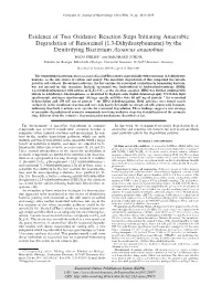 Evidence of Two Oxidative Reaction Steps Initiating Anaerobic Degradation of Resorcinol (1,3-Dihydroxybenzene) by the Denitrifying Bacterium Azoarcus Anaerobius