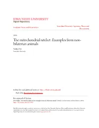 Examples from Non-Bilaterian Animals" (2014)