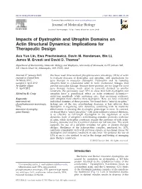 Impacts of Dystrophin and Utrophin Domains on Actin Structural Dynamics: Implications for Therapeutic Design