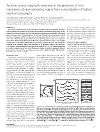 Tectonic Versus Magmatic Extension in the Presence of Core Complexes at Slow-Spreading Ridges from a Visualization of Faulted Seaﬂ Oor Topography