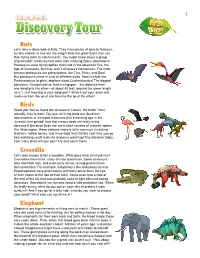 Crocodile Birds Bats Elephant