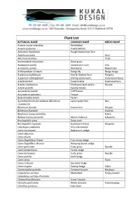 Plant List 2021
