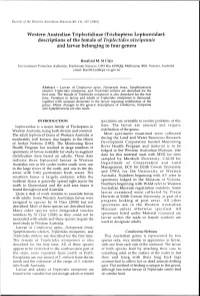 Adec Preview Generated PDF File