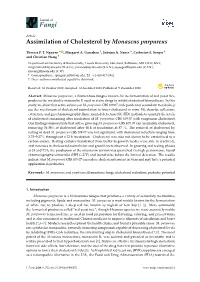 Assimilation of Cholesterol by Monascus Purpureus