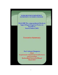 Executive Summary