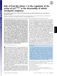 In the Disassembly of Mitotic Checkpoint Complexes