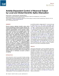 Activity-Dependent Control of Neuronal Output by Local and Global Dendritic Spike Attenuation