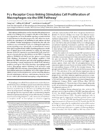 Fc Receptor Cross-Linking Stimulates