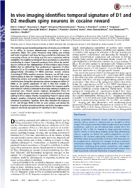In Vivo Imaging Identifies Temporal Signature of D1 and D2 Medium Spiny Neurons in Cocaine Reward