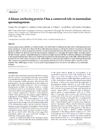 Sex Differences in Response of the Bovine Embryo to Colony
