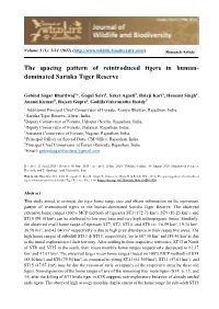 The Spacing Pattern of Reintroduced Tigers in Human- Dominated Sariska Tiger Reserve