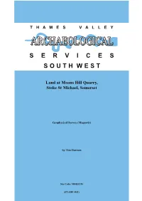 Geophysical Survey Report