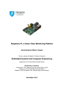 Raspberry Pi: a Smart Video Monitoring Platform