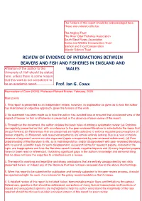 Review of Evidence of Interactions Between