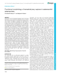 Functional Morphology of Terrestrial Prey Capture in Salamandrid Salamanders Charlotte M
