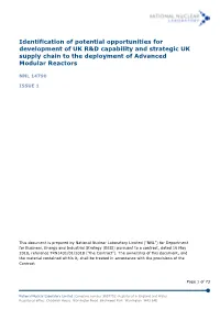 Identification of Potential Opportunities for Development of UK R&D