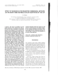 Introduction the Vestibular Stimulus Turntable