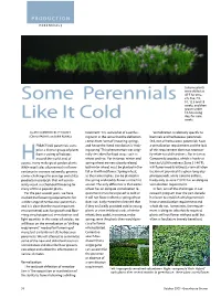 Some Perennials Like It Cold