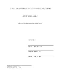 An Analysis of Hezbollah's Use of Irregular Warfare (2012)