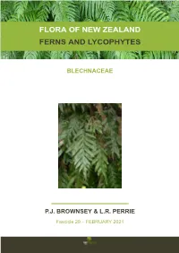 Flora of New Zealand Ferns and Lycophytes