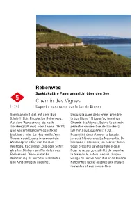 Rebenweg Chemin Des Vignes