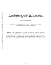 A Mathematical Model for the Germinal Center Morphology and Affinity