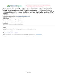 Evaluation of Molecular Diversity Analysis and Relation With