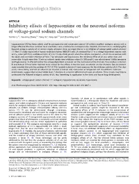 Inhibitory Effects of Lappaconitine on the Neuronal Isoforms of Voltage-Gated Sodium Channels