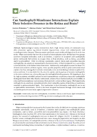 Can Xanthophyll-Membrane Interactions Explain Their Selective Presence in the Retina and Brain?